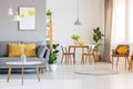 Open space living and dining room interior with gray sofa, wooden tables, white chairs and plants. Real photo Royalty Free Stock Photo