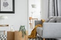 Open space living and dining room interior with grey couch and wooden furniture Royalty Free Stock Photo