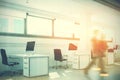 Open space office, a tree, white walls, people Royalty Free Stock Photo