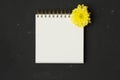 Open spiral notebook Top view with Yellow flower. Royalty Free Stock Photo