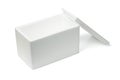 Open Styrofoam storage box