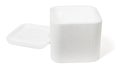 Open Styrofoam Storage Container Royalty Free Stock Photo