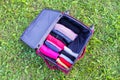 Open suitcase on the green grass with different clothes folded vertically. Vertical storage for easy travel packing