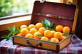 an open suitcase packed with fresh oranges