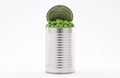 Open tin cans  Peas  on white background Royalty Free Stock Photo