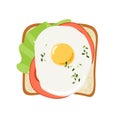 Open Toast with fried egg, lettuce, tomato. Lunch, dinner, breakfast snacks. Vector illustration isolated on white