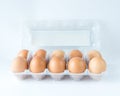 Studio shot open cover plastic tray with ten pastured raised chicken eggs isolate on white Royalty Free Stock Photo
