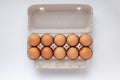 Open tray with chicken brown eggs