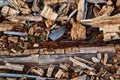 Splintered wood in the Black Forest