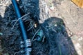 Cut sprinkler water line with repair line attached in an open trench
