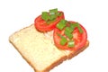 Open tuna and tomato sandwich