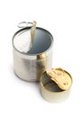 Open two empty tin cans on a white background Royalty Free Stock Photo