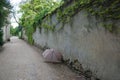 Open umbrella on the road, with ivy growing up the sides of the gravel Royalty Free Stock Photo