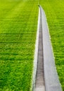 Open under artificial turf, floor soccer grass field, soft focus Royalty Free Stock Photo