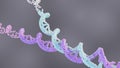 Open up the DNA double helix replication fork