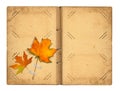 Open vintage photoalbum for photos with autumn foliage Royalty Free Stock Photo