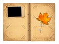 Open vintage photoalbum for photos with autumn foliage Royalty Free Stock Photo