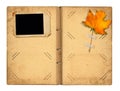 Open vintage photoalbum for photos with autumn foliage