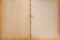 Open Vintage Template Empty Pages of an Old Book with Authentic Aged Texture â Perfect Historical Themes, and Antique Projects Royalty Free Stock Photo