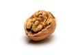 Open walnut with full kernel, close up macro, isolated on a white background. Royalty Free Stock Photo