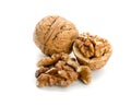Open walnut