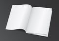 Open White Blank Brochure Magazine for Mock up - Vector Illustration Royalty Free Stock Photo
