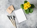 Open white notebook for text, yellow primrose flower, garden tools and seeds in paper bags on gray background. Top view Royalty Free Stock Photo