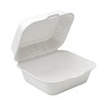 Open white plastic food container with a hinged lid on a white background Royalty Free Stock Photo