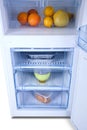 Open white refrigerator. Fridge freezer Royalty Free Stock Photo