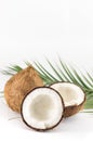 Open and whole coconuts and palm leaves Royalty Free Stock Photo