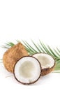 Open and whole coconuts and palm leaves