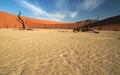 Open wide at deadvlei Royalty Free Stock Photo