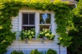 open window bordered by ivy on a quaint cottage