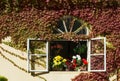 Open window with colored geraniums Royalty Free Stock Photo