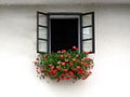 Open window decorated with beautiful bright geranium flowers Royalty Free Stock Photo