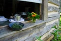 Open window with Drying herbs and flowers on a windowsill of an historic homestead