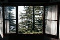 Open window with the view on beautiful forrest