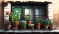 Open window row flower pots venice flowerpot residential home building summer italy wall brick opened architecture horizontal Royalty Free Stock Photo