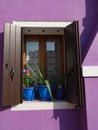 Open window shutters on purple home in Burano Italy Royalty Free Stock Photo