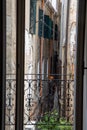 Open window with a view into garden of Venecia. Blooming streets of post Covid Venice.