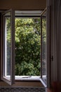 Open window with a view into garden of Venecia. Blooming streets of post Covid Venice.