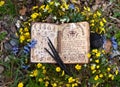 Open witch book with mystic symbols, black candles in flowers