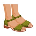 Open Woman Sandals with Flat Sole for Summer Vector Illustration