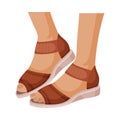 Open Woman Sandals with Flat Sole for Summer Vector Illustration