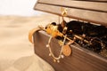 Open wooden treasure chest on sandy beach, closeup Royalty Free Stock Photo