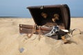 Open wooden treasure chest on sandy beach Royalty Free Stock Photo