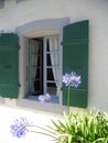 Open wooden white window with green shutters and purple plant in an open-air museaum ballenberg in switzerland Royalty Free Stock Photo