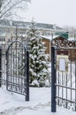 Open wrought-iron snow-covered gate to the courtyard. Spruce in the snow