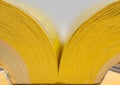 Open yellow pages book Royalty Free Stock Photo