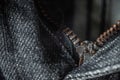 Open zipper on dark gray denim pants, close-up. Details textile, fabric, selective focus